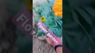 #Flower gardenflower,flowers flower,miley cyru flowers,flowers lyrics,jisoo flower mv,flowers miley