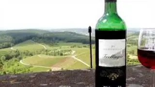 TSC_Kay Double You_Dr Trollingerrock