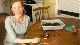 Starting Seeds with Annie from Daily Acts