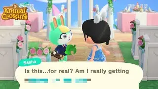 When You're SICK OF DOING EVERYTHING Around Here! | Animal Crossing Resident Representative | ACNH