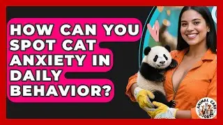 How Can You Spot Cat Anxiety In Daily Behavior? - Animal Care Jobs