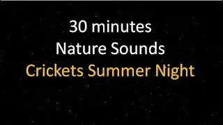 ASMR - 30 minutes of Nature Sounds, Crickets Summer Night for Relaxing Sleep, Insomnia, Study