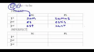 sum, esse in the Present and Imperfect Tense