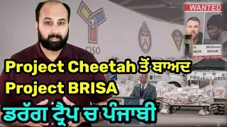 How Project BRISA nailed more Indo Canadians, Punjabis ? How trailer traps surfaced?