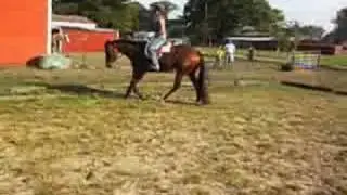 JUSTIN TIME LEAGUER CLIP