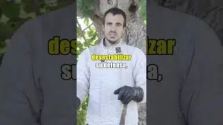 &iquest;Puedes hacer COMBOS en la VIDA REAL?⚔️