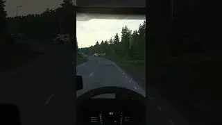 Sunset in Sweden | POV truck sim drive #driving #ets2 #gaming