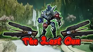 The Last Exotic I Was Missing - Destiny 2 Divinity