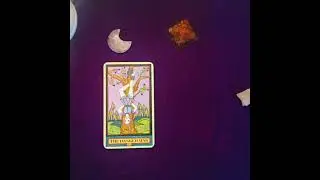 💕Weekly love reading💕#vrushabarasi#taurus#telugulovereading#teluguhoroscope#teluguastrology#tarot