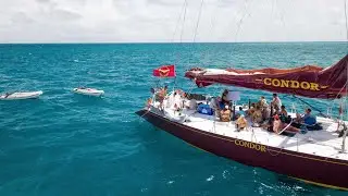 Freediving The Whitsunday Islands and Outer Reef - Ft  Freediving Central and Prosail Whitsundays