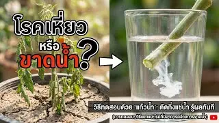 วินาทีเด็ดจากไฟล์ 0048-W~1.MP4 — ช็อตสั้นน่าจับตามอง