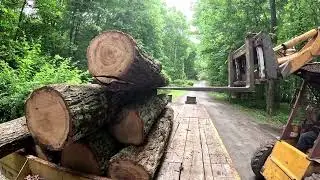 Hauling away wood