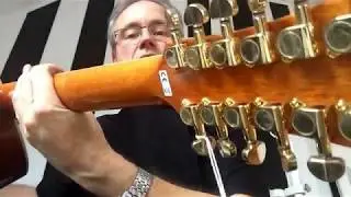 12 String Guitar, 12 saitige Gitarre