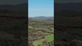 #y&ouml;r&uuml;kyenicesi #mudanya #bursa #t&uuml;rkiye #drone #dronevideo #travel #forest #nature #doğa #gezi #dji
