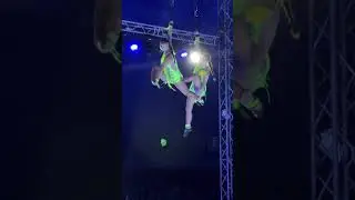 Live performance 