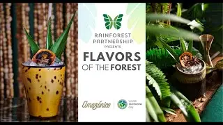 Rainforest Partnership Presents Flavors of the Forest