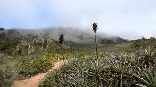Parque Nacional Bosque Fray Jorge