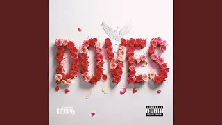 Doves