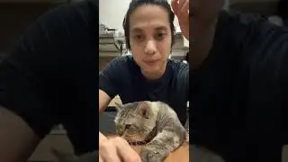 Dikta live instagram bareng jimbon si kucing lucu