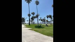 Outside🌴🤟🏽 #shortvideo #shorts #shortsfeed #california #vacation #trending