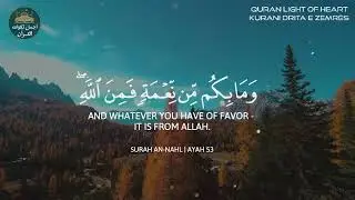 تلاوة تقشعر لها الأبدان❤️هدوء وراحة وسكينة😌أرح سمعك🎧مع اجمل قارئ❤️عبدالرحمن مسعد🤍