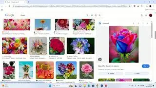 How to Save Image from Google using the image save as type extension any format of image #imagesave