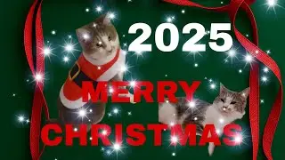 Christmas 2025🎅HOHOHO🎁🎄