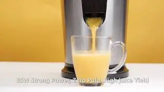 Homeleader citrus juicer | Best Citrus Juicer | Juice Squeezer | Orange juicer