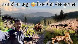जानवरों ने बना दिया यहाँ अपना अड्डा 🐆😳वीरान पड़ा मोरू बुग्याल 😱चरवाहों का खूबसूरत अड्डा |sk pahadi