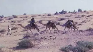 وين شدو