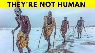 This Tribe In The Arctic Has SHOCKED Researchers