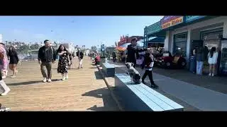 Australian Shepherd Training | Artemis | Long Beach, CA