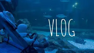 243일 러블리안💕, 일산아쿠아플라넷  방문 & 강아지 첫만남