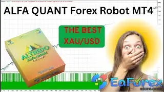 ALFA QUANT Forex Robot MT4 Review + Setting | EA Forex Store