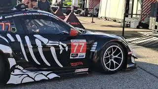 Ливрея Rexy Halloween на гонке IMSA Petit Le Mans 2025