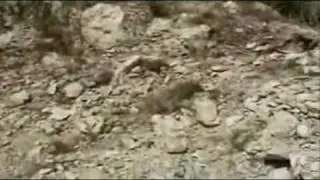 Namal Dam Mianwali,Documentary