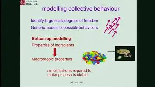 Prof. Tanniemola Liverpool | Soft active matter - liquid crystalline order,  rheology and...