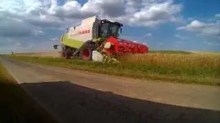 moisson bl&eacute; 2015 Claas lexion 550 et 520 [pnj cam]