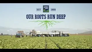 Our Roots Run Deep | Church Brothers Farms