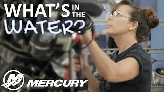 What's in the water at Mercury Marine?