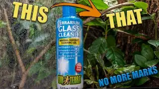 The BEST TERRARIUM GLASS CLEANER! Exo Terra Terrarium glass cleaner Review!