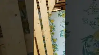 VID 20210524 105104