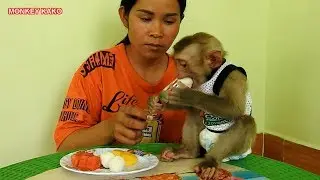 Baby Monkey Kako Have Lunch And Drink Milk