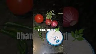 Perfect Dhaniya Chatni Recipe 🌿 | Har Snack Ke Sath Best