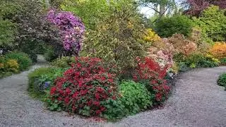 Stanley Park Vancouver Rhododendron Garden