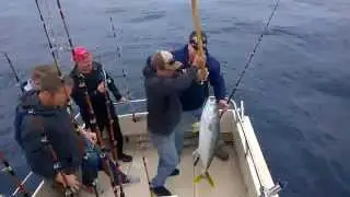 Fish Hunter Charters: April 22nd Half Day Charter