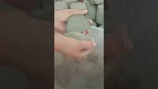 asmr#shortvideo#satisfying #sandcement