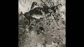 Field of Signs - Sean Layland