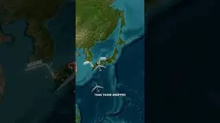 Why the USA Bombed Its Own Land | Info TV Max