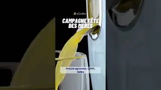Presse-agrumes, ann&eacute;es 50, CJF01, SMEG